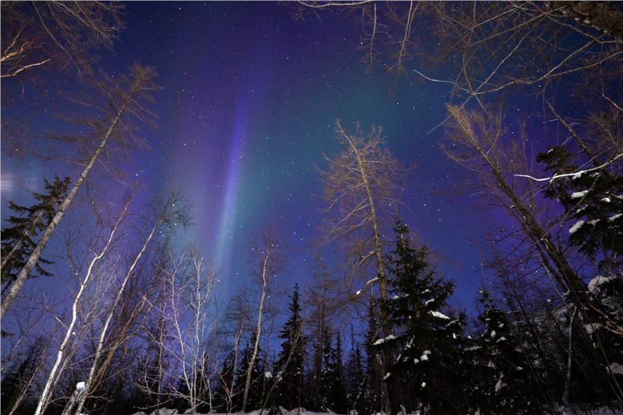Фото Михаила Волкова и Александра Ульянова